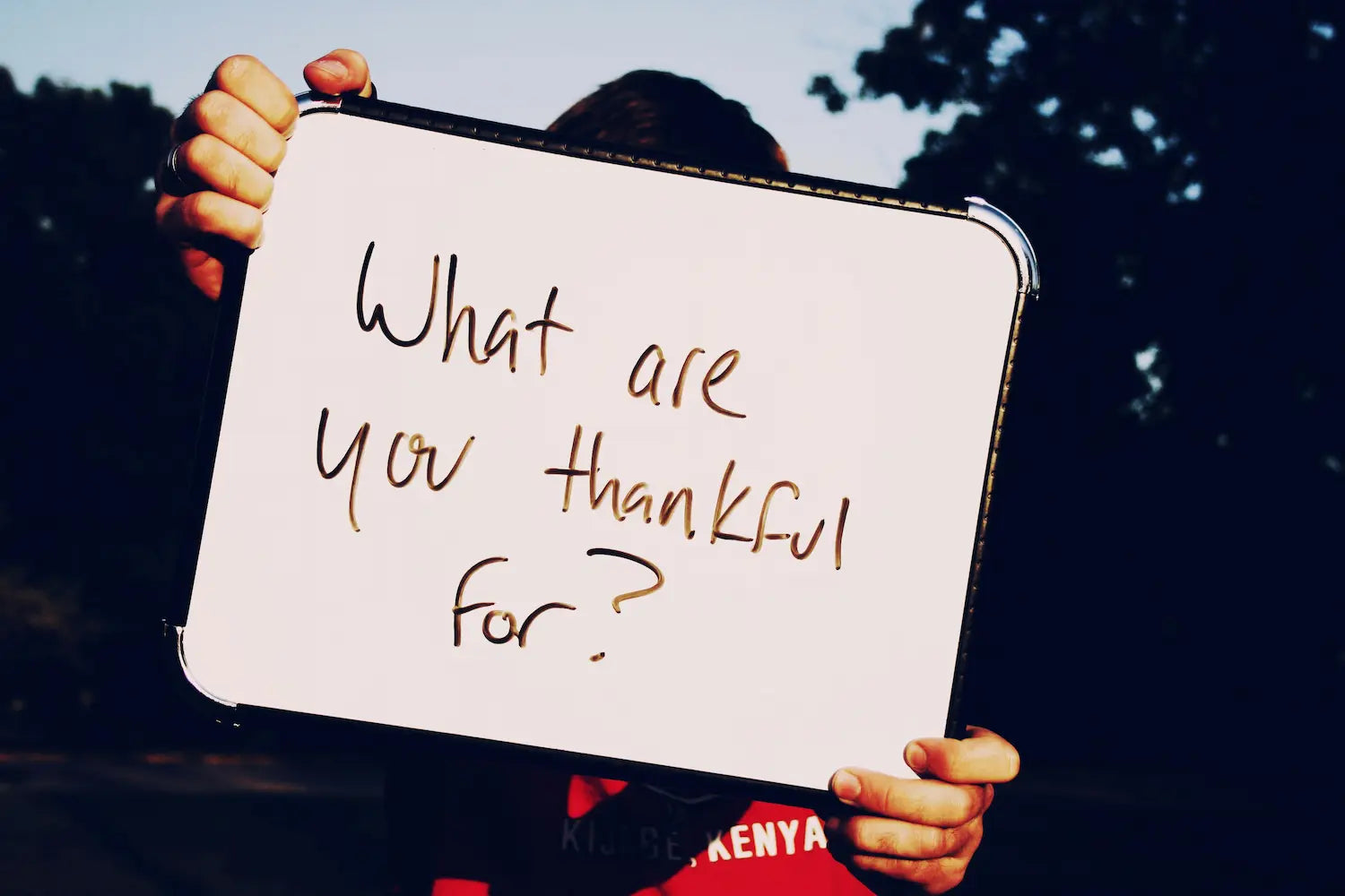 Teaching Gratitude to Kids: 7 Simple Daily Practices That Actually Work